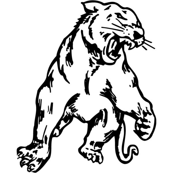 PANTHER1 Thumbnail