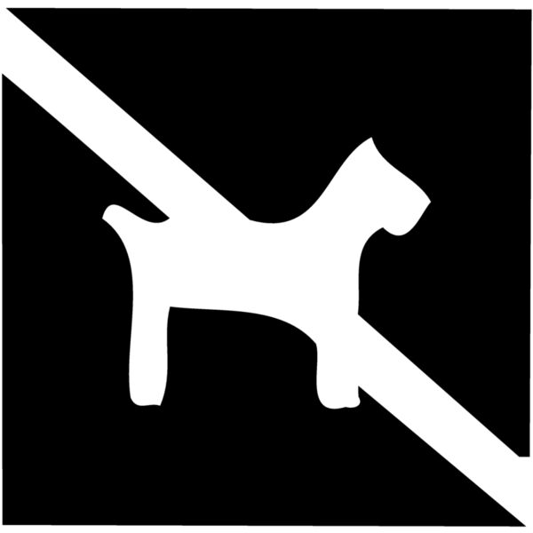 NODOG Thumbnail