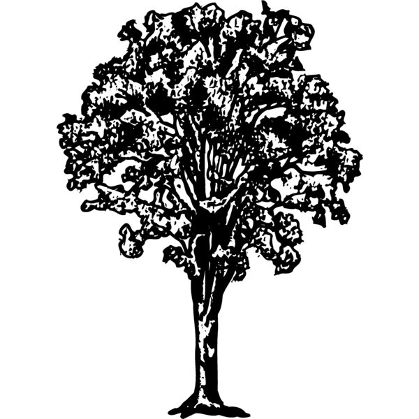 TREE0015 Thumbnail