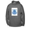 ATC™ PTECH® FLEECE YOUTH HOODIE Thumbnail